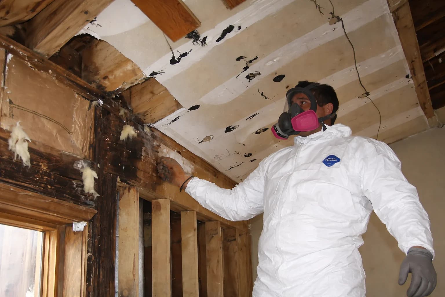 Restoration Services in Roscoe Village, IL - The CleanUP Guys