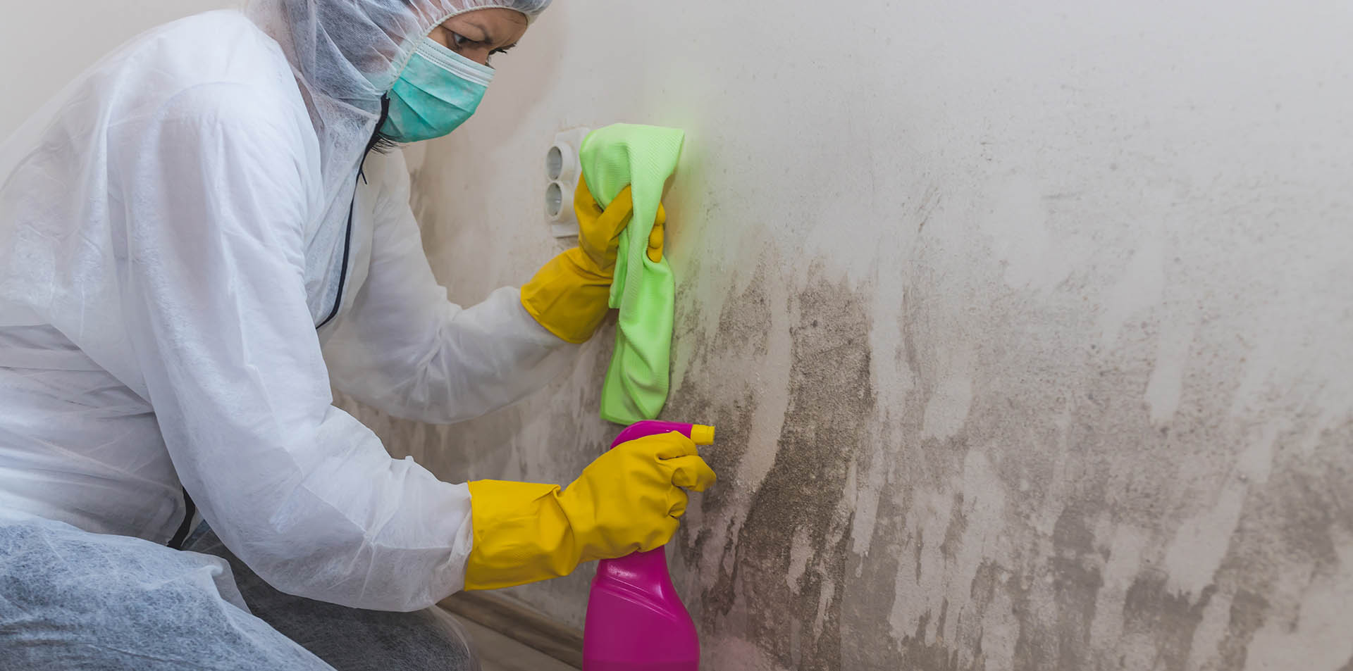 Choose the Right Basement Cleaning Service for Your Needs