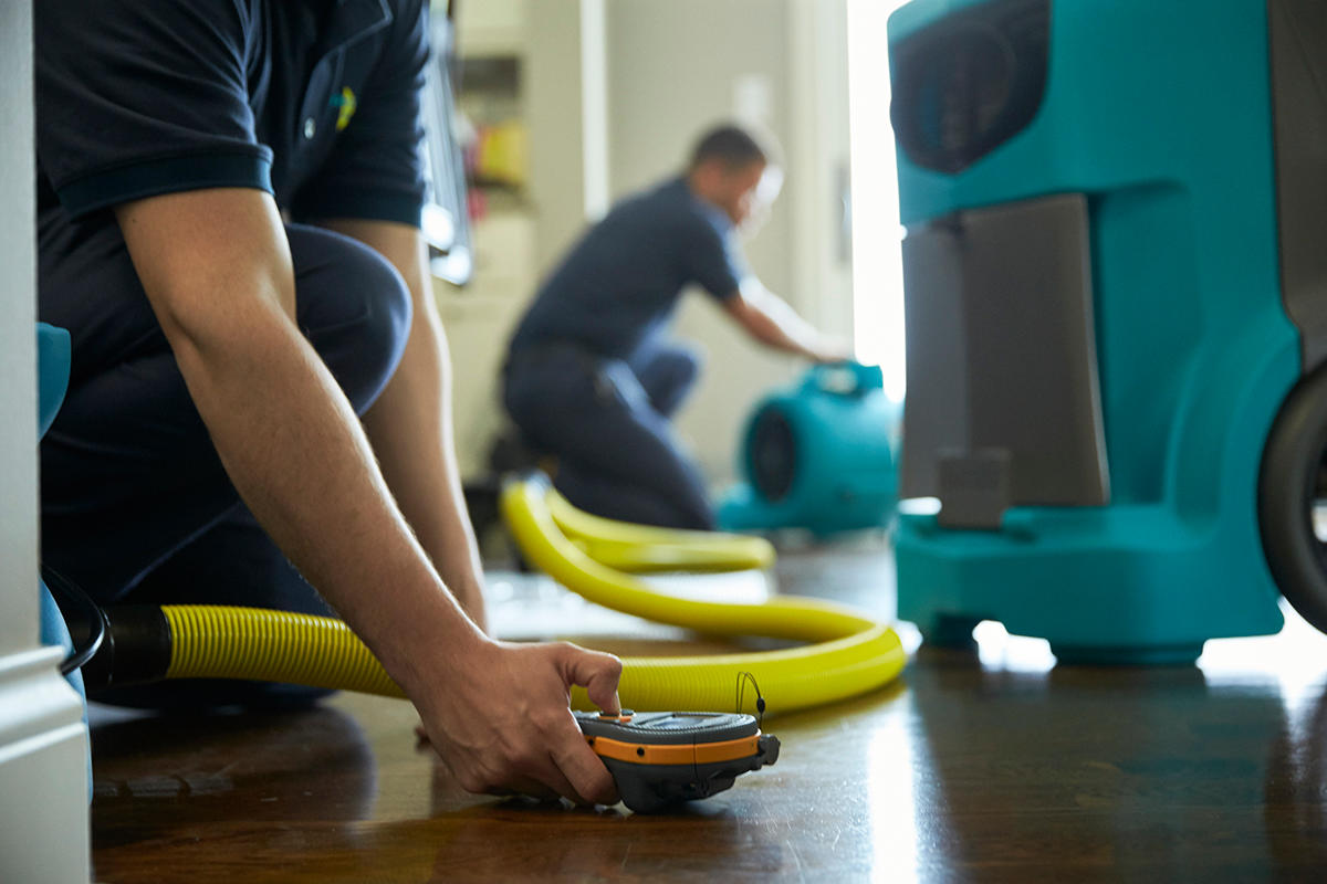 Dealing with Basement Water Damage: Cleaning and Restoration Techniques Dealing with Basement Water Damage: Cleaning and Restoration Techniques