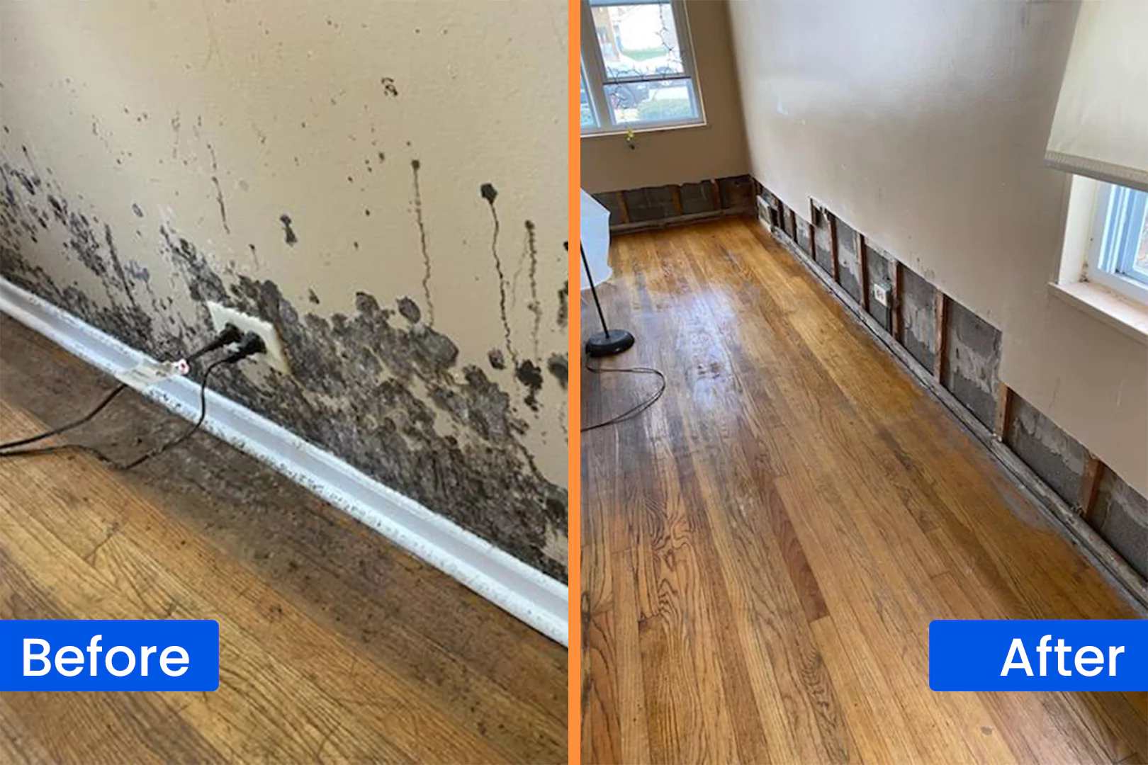 Before and After Image of chicago mold remediation