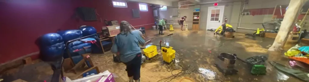 Mold Sewage and Flooding Basements Budlong Woods Chicago