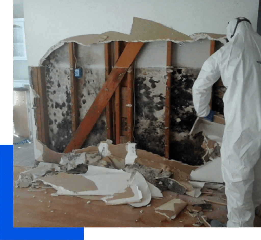 Mold Damage Restoration in Oak Park