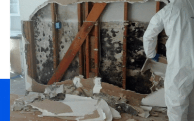 Mold Damage Restoration in Oak Park
