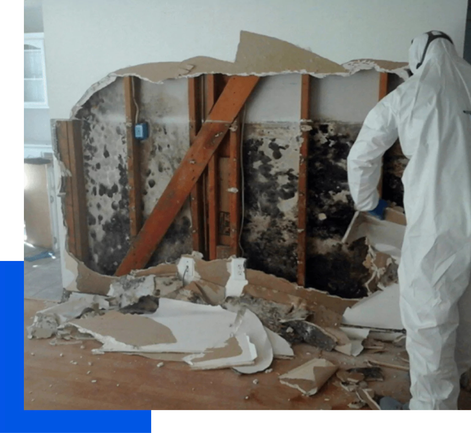 Mold Damage Restoration in Oak Park