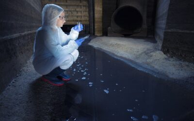 Basement Flood Cleanup Skokie