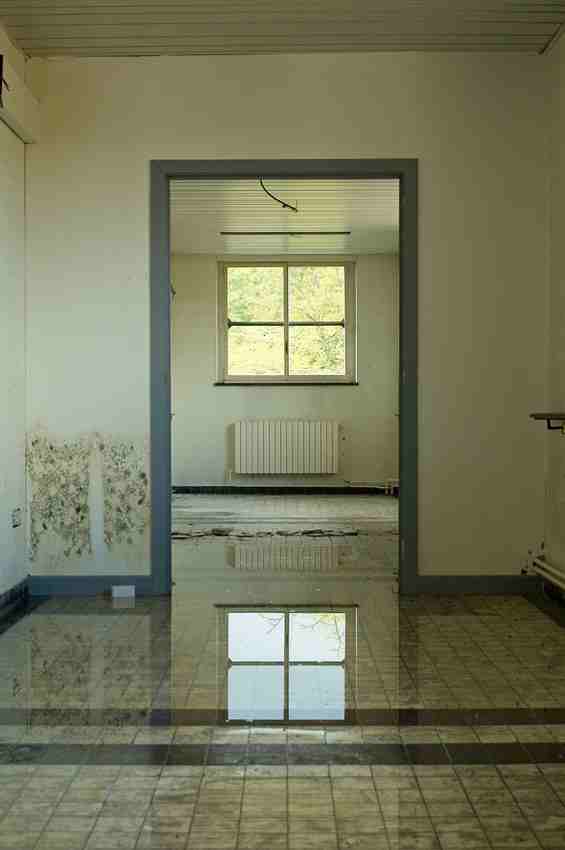 Flooded basement with standing water and mold in a Chicago home