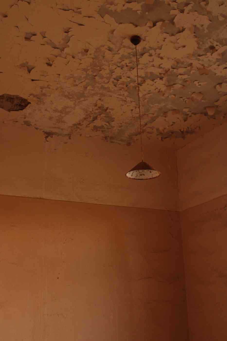 Water damage on a ceiling showing peeling paint and moisture staining before moisture mapping