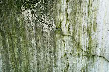 Green and black mold growth streaking down a damp cracked wall from a moisture problem in a Chicago home