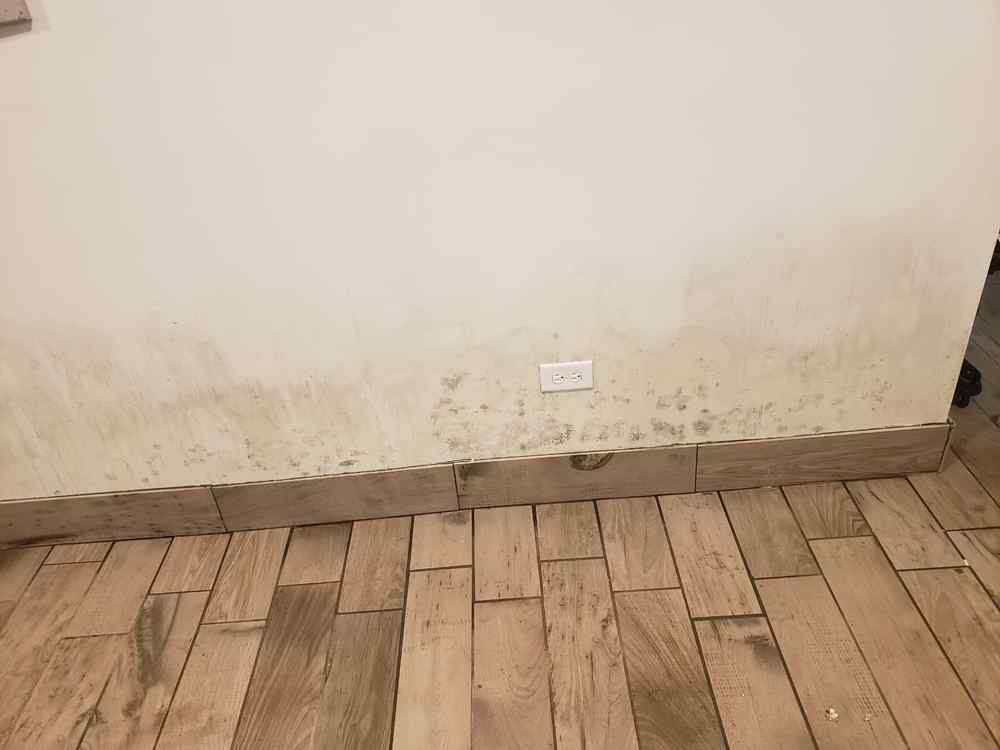 Mold removal in a Chicago basement - mold spread across wall above baseboard