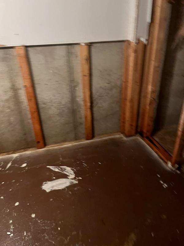 Mold removal in a Chicago basement - mold on foundation wall behind removed drywall