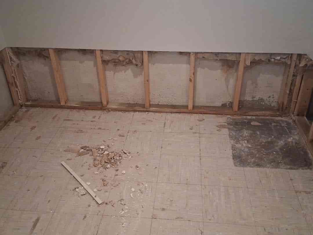 Mold removal in a Chicago basement - water-damaged wall opened for mold remediation