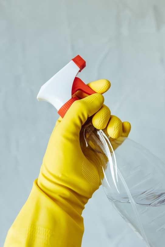 Gloved hand with spray bottle cleaning mold from a surface in Chicago