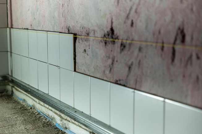 Hidden black mold found behind bathroom tiles during a Chicago inspection