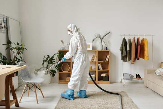 Mold remediation technician in protective suit treating a Chicago home
