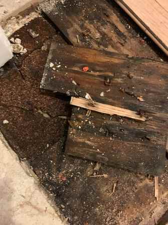 Rotted water-damaged flooring torn out after a basement sewage backup in Chicago