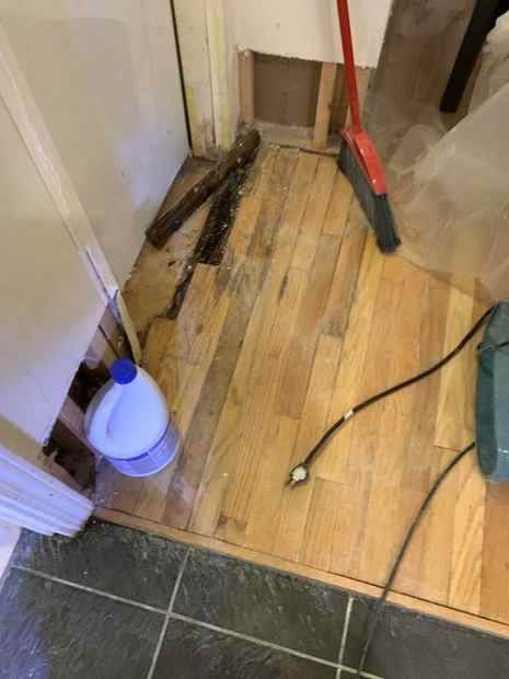 Flood-cut wall and water-damaged hardwood floor from a sewage backup in a Chicago basement