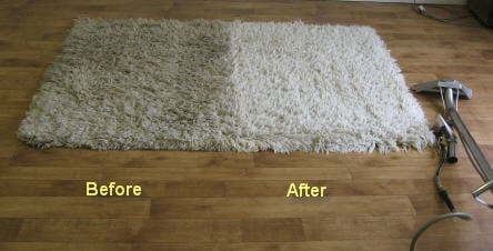 Before and after carpet cleaning results on a shag area rug in Chicago