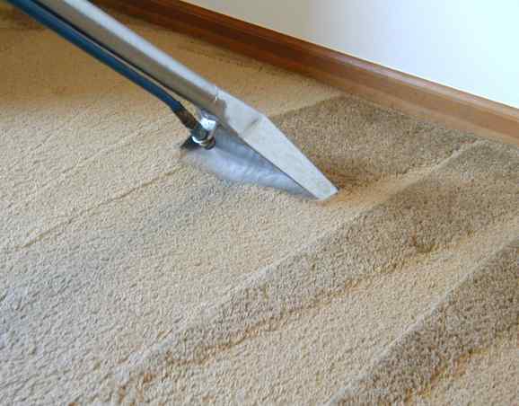 Carpet cleaning wand extracting deep dirt from carpet fibers along a wall edge in Chicago