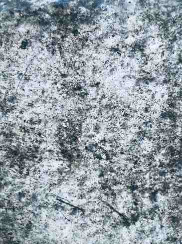 Rough, speckled black mold growth covering a stone surface texture